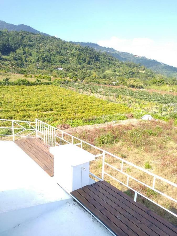 Back To Real Hostel Taitung ภายนอก รูปภาพ
